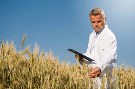 Agronomist advising farmer