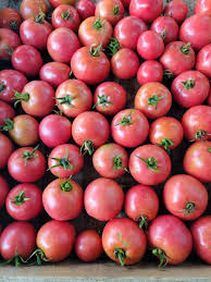 Tomato Pink