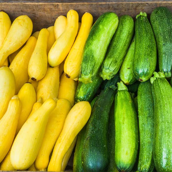 Melon
