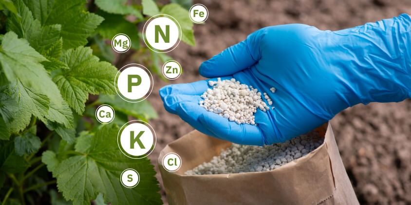 Agricultural Inputs